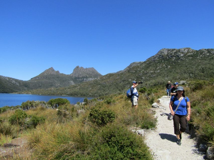 From Launceston: Cradle Mountain - Active Day Tour - First Stop: Sheffield, the Town of Murals