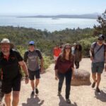 From Launceston: Full-Day Wineglass Bay Explorer Active Tour - An In-Depth Look at the Itinerary