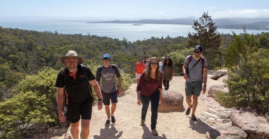 From Launceston: Full-Day Wineglass Bay Explorer Active Tour - An In-Depth Look at the Itinerary