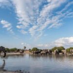 From Livingstone & Victoria Falls: Rafting & Safari Combo - Practicalities and What to Know Before Booking