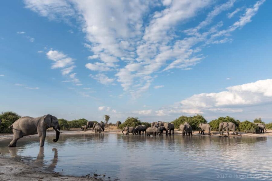 From Livingstone & Victoria Falls: Rafting & Safari Combo - Practicalities and What to Know Before Booking