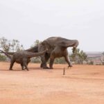 From Longreach: Outback Winton Full Day Tour - What Makes This Tour Stand Out