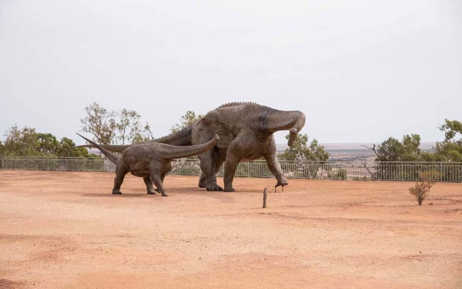 From Longreach: Outback Winton Full Day Tour - What Makes This Tour Stand Out