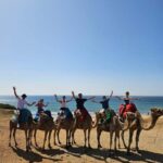 From Malaga: Gibraltar and Tangier Private Day Trip - Overview of the Experience