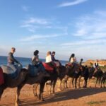 From Malaga: Private Tangier Day Tour - Exploring the Itinerary: What You Can Expect