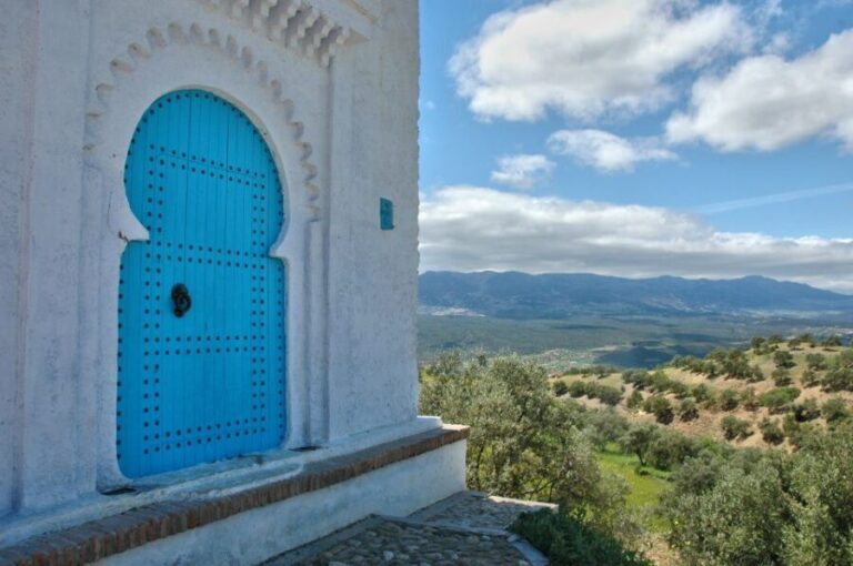 From Malaga: Private Tour of Chefchaouen - An In-Depth Look at the Tour Experience