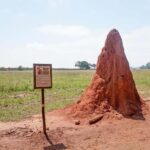 From Maputo: Swaziland Cultural Day Trip - What’s Good About This Tour?