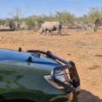 From Marloth Park: Kruger National Park Full-Day Safari - Introduction to the Kruger Full-Day Safari