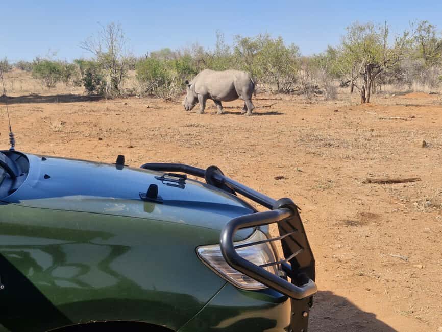 From Marloth Park: Kruger National Park Full-Day Safari - Introduction to the Kruger Full-Day Safari