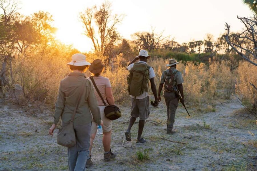 From Marloth Park: Kruger National Park Walking Safari - The Itinerary: What to Expect on the Day
