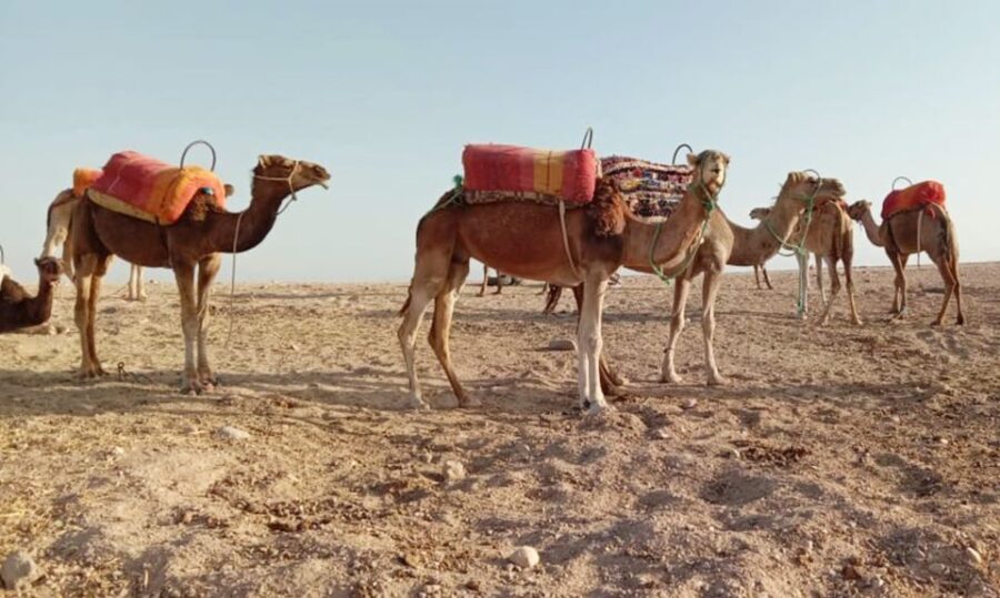 From Marrakech: 2-Day and 1-Night Stay in Agafay Desert - What’s Included and What’s Not?