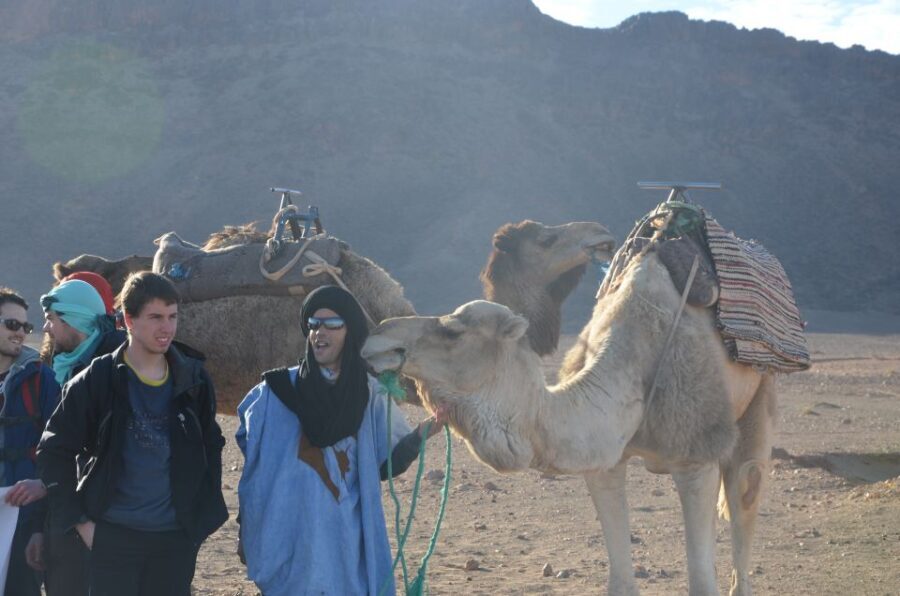 From Marrakech: 2-Day Sahara Tour to Zagora & Ait Ben Haddou - What’s Included and What’s Not