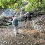 From Marrakech : 3 Day Hike in High Atlas Mountains - Who Will Love This Experience?
