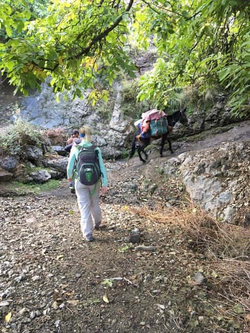 From Marrakech : 3 Day Hike in High Atlas Mountains - Who Will Love This Experience?