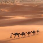 From Marrakech: 3-Day Merzouga and Sahara Desert Tour - Day 2: Into the Dunes and the Sahara Camp