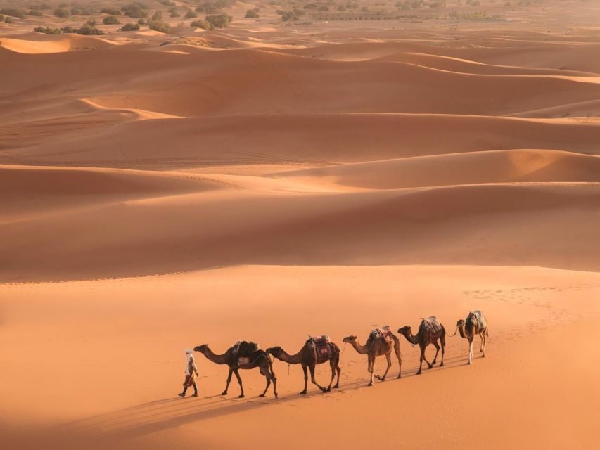 From Marrakech: 3-Day Merzouga and Sahara Desert Tour - Day 2: Into the Dunes and the Sahara Camp