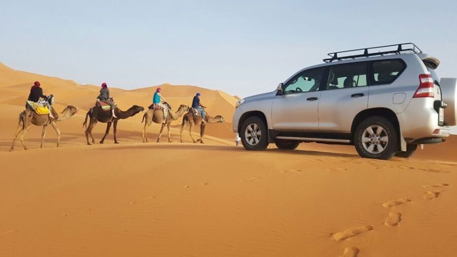 From Marrakech : 3 Days Camel trek To Chegaga - The Detailed Breakdown of the Moroccan Sahara Experience