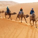 From Marrakech : 4-Day Private Merzouga Desert & Luxury Camp - The Practicalities: What’s Included and What to Expect
