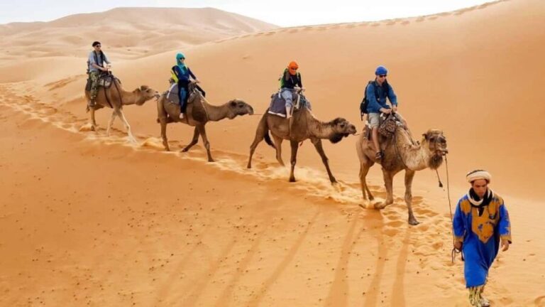 From Marrakech : 4-Day Private Merzouga Desert & Luxury Camp - The Practicalities: What’s Included and What to Expect