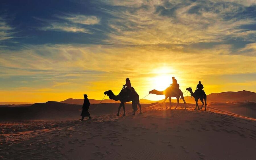 From Marrakech : 4 Days Private Desert To Zagora & Merzouga - What’s Included & What to Expect