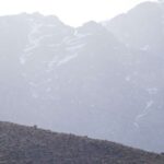 From Marrakech : A Day Trail Running In The Atlas Mountains - Practical Details: What You Need to Know