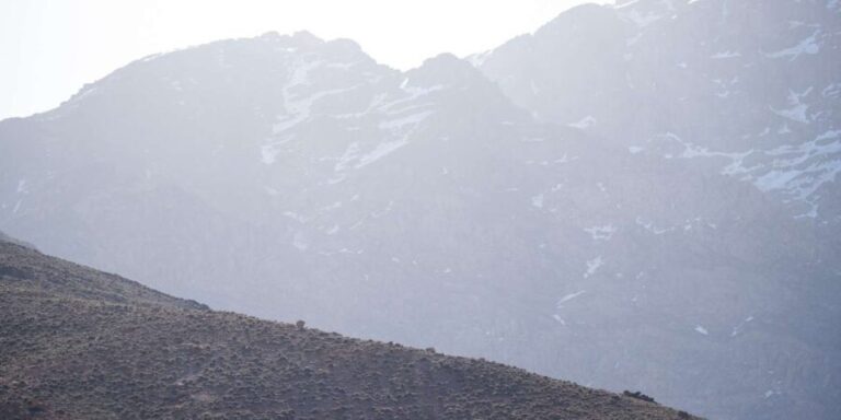 From Marrakech : A Day Trail Running In The Atlas Mountains - Practical Details: What You Need to Know
