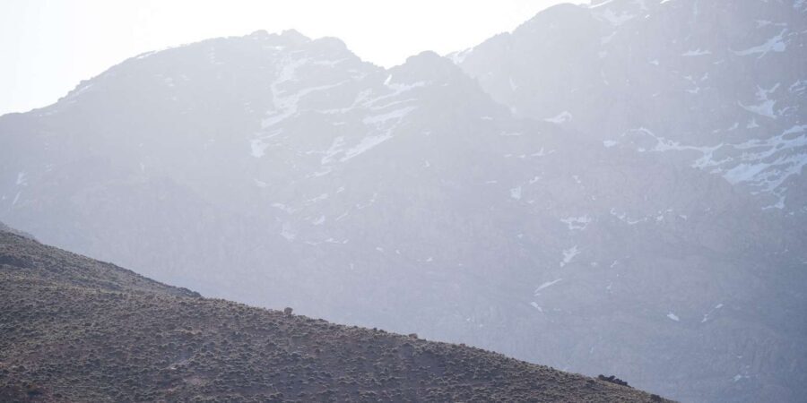 From Marrakech : A Day Trail Running In The Atlas Mountains - Practical Details: What You Need to Know