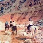 From Marrakech: Atlas Mountains 45-Minute Horseback Ride - Authentic Insights from Reviewers