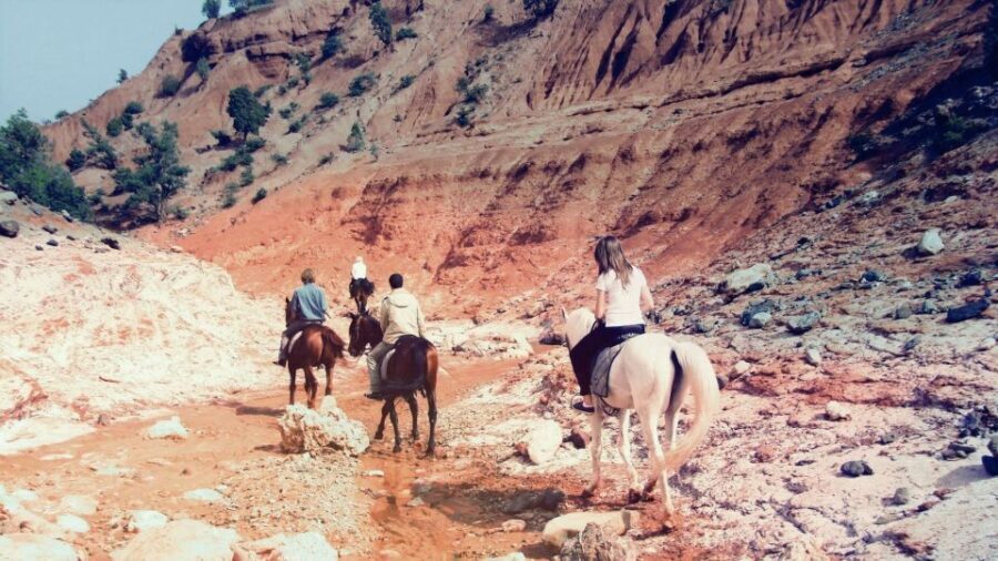 From Marrakech: Atlas Mountains 45-Minute Horseback Ride - Authentic Insights from Reviewers