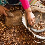 From Marrakech: Atlas Mountains Day Trip with Camel Ride - Key Points