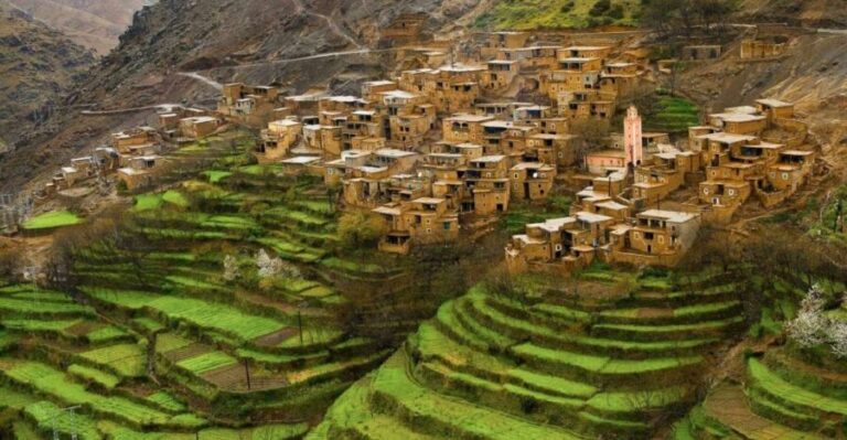 From Marrakech: Atlas Mountains Full-Day Hiking Trip w Lunch - What Makes This Tour Stand Out?