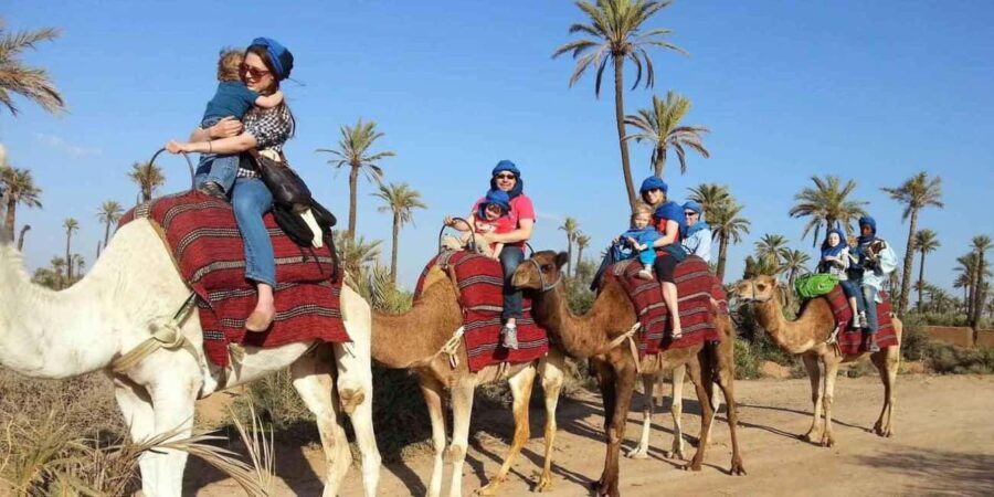 From Marrakech: Camel Ride in the Palm Grove - Exploring the Palmeraie Landscape