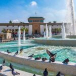 From Marrakech: Casablanca Day Trip with Transfer - The Experience: What You’ll Really Get