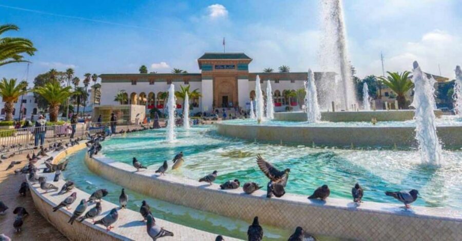 From Marrakech: Casablanca Day Trip with Transfer - The Experience: What You’ll Really Get