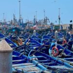 From Marrakech: Day Trip to Essaouira with Transfers - Who is This Tour Best Suited For?