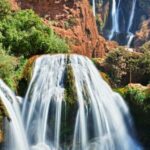 From Marrakech: Day trip to Ouzoud Waterfalls - Real Traveler Insights