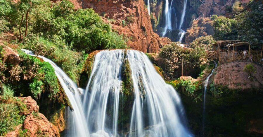 From Marrakech: Day trip to Ouzoud Waterfalls - Real Traveler Insights