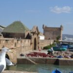 From Marrakech: Day Trip to the Coastal Town of Essaouira - Exploring Essaouira: What to Expect
