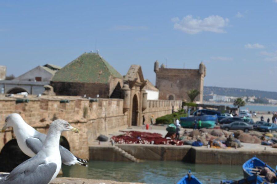 From Marrakech: Day Trip to the Coastal Town of Essaouira - Exploring Essaouira: What to Expect
