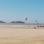 From Marrakech: Essaouira Coastal City Day Trip - Who Will Love This Tour?