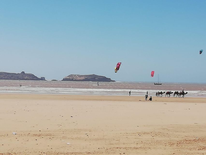 From Marrakech: Essaouira Coastal City Day Trip - Who Will Love This Tour?