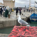 From Marrakech: Essaouira Day Trip with Hotel Pickup - Four Hours Free Time — Discover or Relax