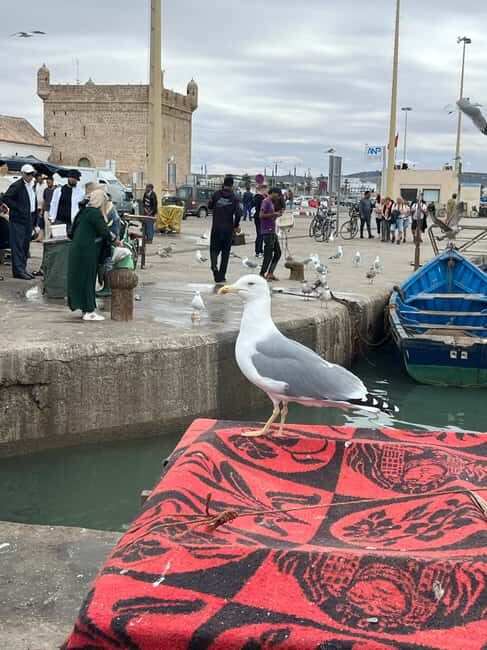 From Marrakech: Essaouira Day Trip with Hotel Pickup - Four Hours Free Time — Discover or Relax