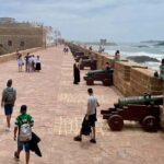 From Marrakech: Essaouira Full day trip, beach and History - Authentic Reviewer Insights