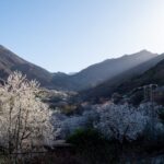 From Marrakech: Family/Friends Day Trip To Atlas Mountains - An In-Depth Look at the Marrakech to Atlas Mountains Day Trip