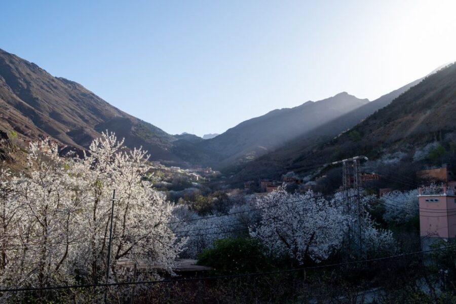 From Marrakech: Family/Friends Day Trip To Atlas Mountains - An In-Depth Look at the Marrakech to Atlas Mountains Day Trip