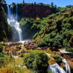 From Marrakech: Full-Day Trip to Ouzoud Falls with Boat Ride - The Journey from Marrakech to Ouzoud: What to Expect