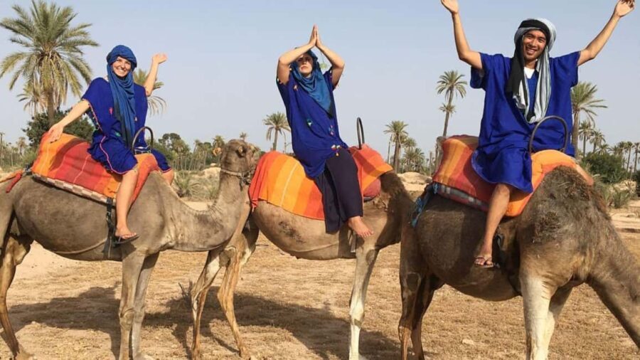 From Marrakech: Half-Day Desert Quad Trip with Camel Ride - What Sets This Tour Apart?