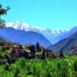 From Marrakech: Nature and Atlas Morocco History's Day Trip - Exploring the Berber Villages and Waterfalls