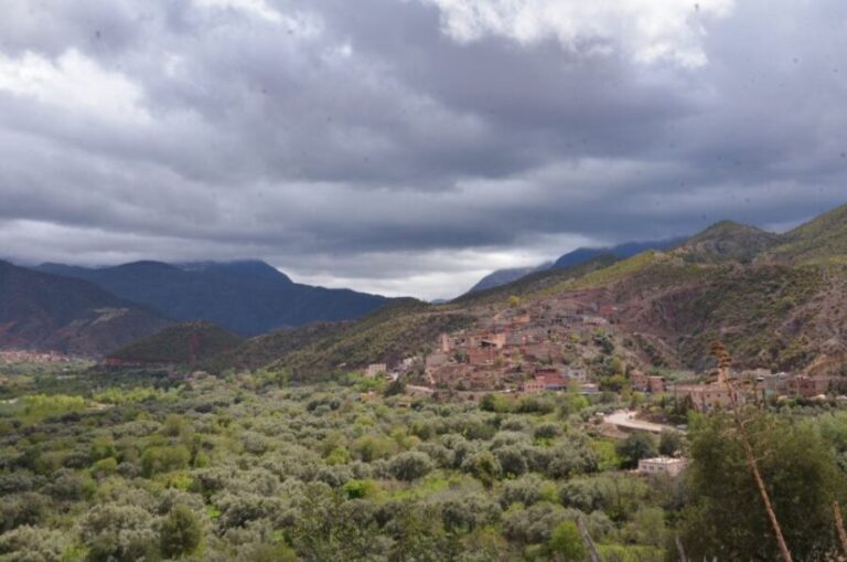 From Marrakech: Ourika Valley Day Trip with Lunch - A Closer Look at the Itinerary